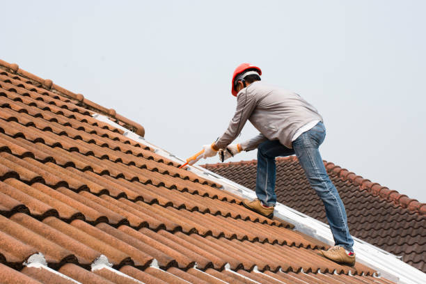 Best Metal Roofing Installation  in Bude, MS