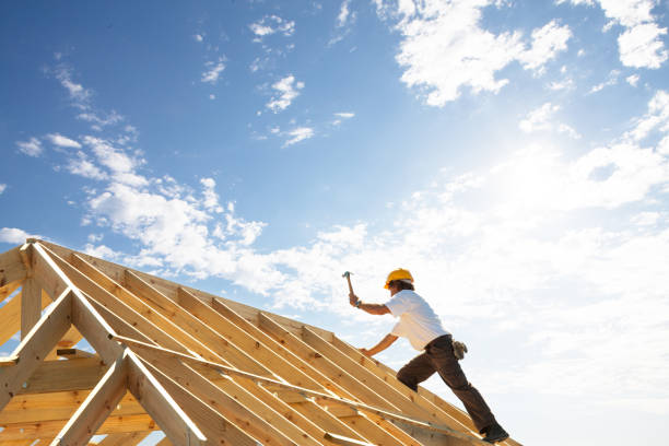 Best Roof Maintenance and Cleaning  in Bude, MS